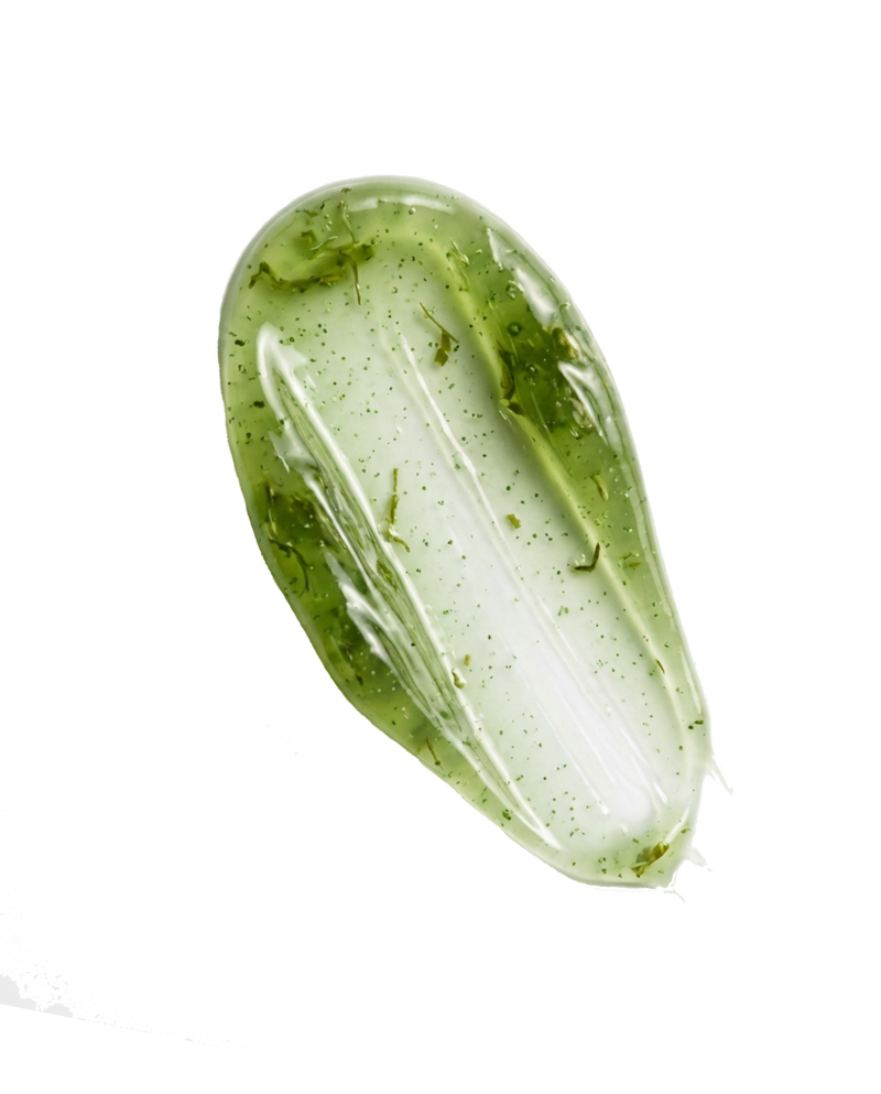 CENTELLA ASIATICA texture